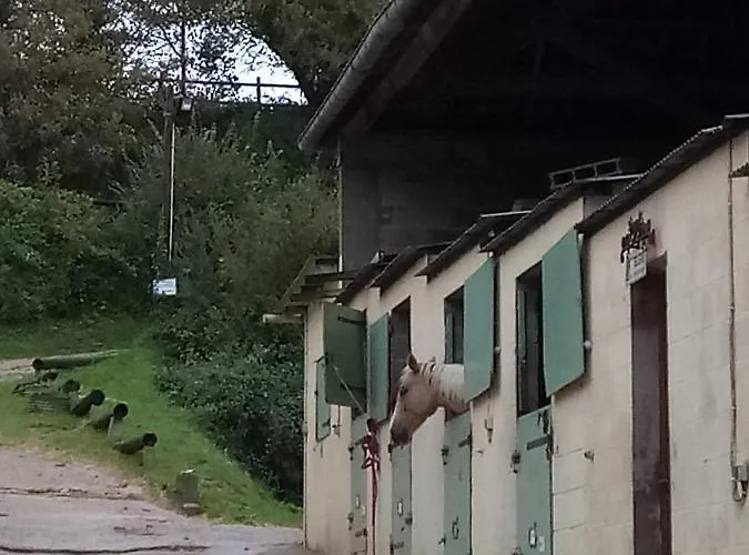 Et Centre Equestre Mers-les-Bains