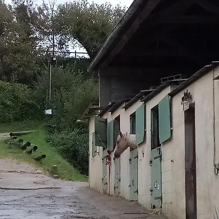 Et Centre Equestre Mers-les-Bains